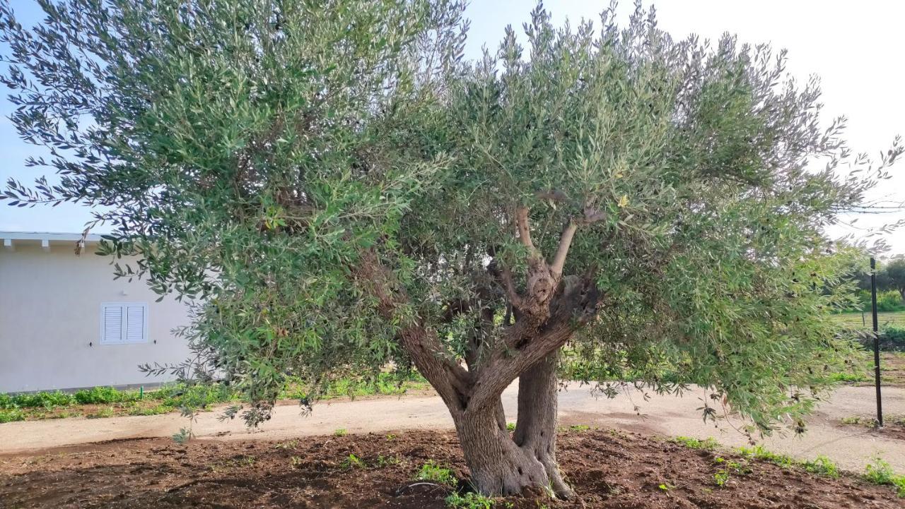 Le Zagare Di Vendicari Vila Lido di Noto Exterior foto